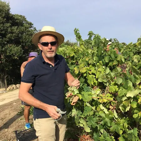 Tenuta Petra Manna