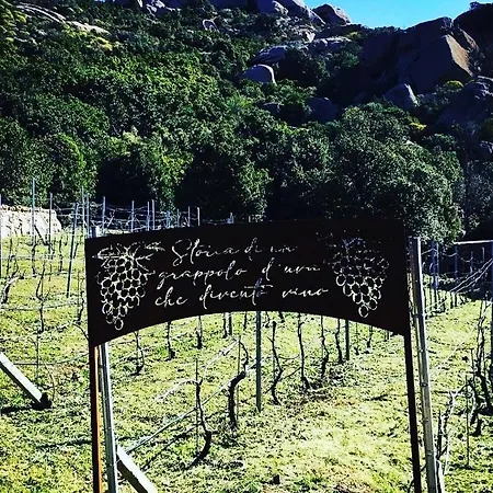 Tenuta Petra Manna * Palau