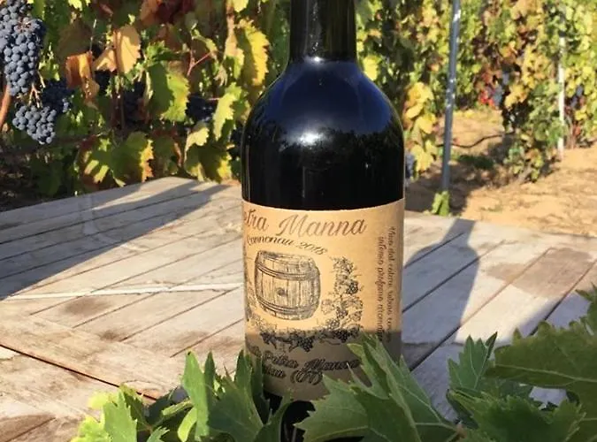 Tenuta Petra Manna Bed and Breakfast