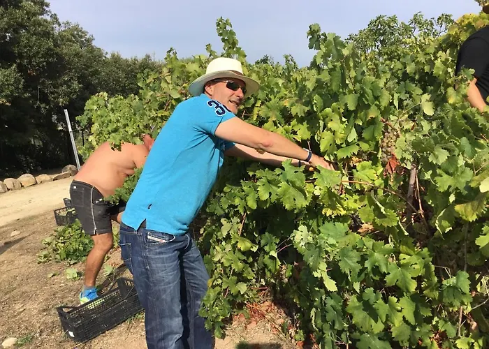 Tenuta Petra Manna לינה וארוחת בוקר 4*