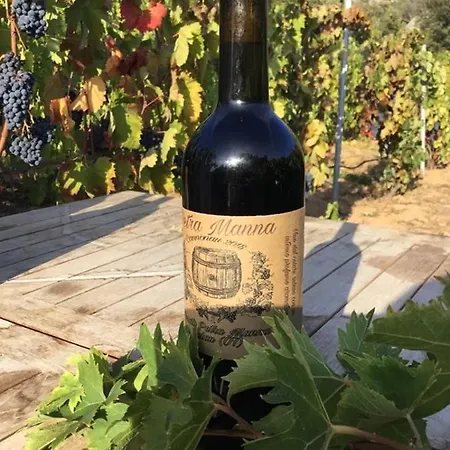 Tenuta Petra Manna Bed and breakfast