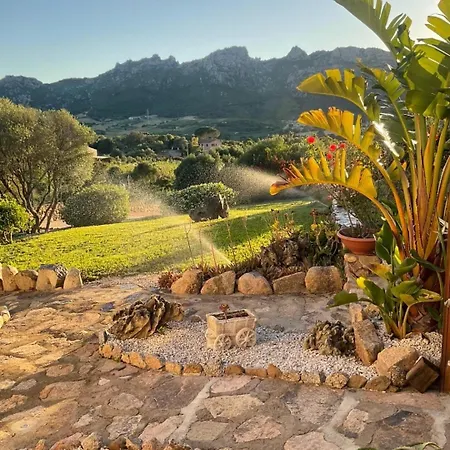 Tenuta Petra Manna Bed & Breakfast