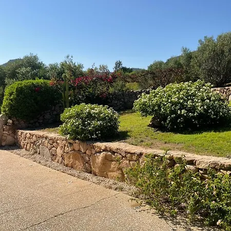 Tenuta Petra Manna Bed & Breakfast