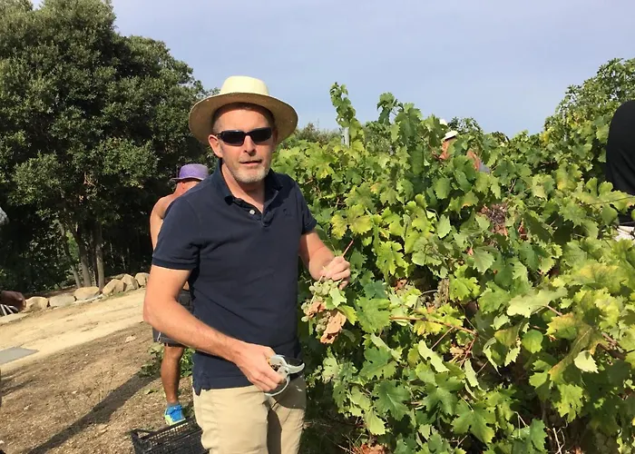 Tenuta Petra Manna